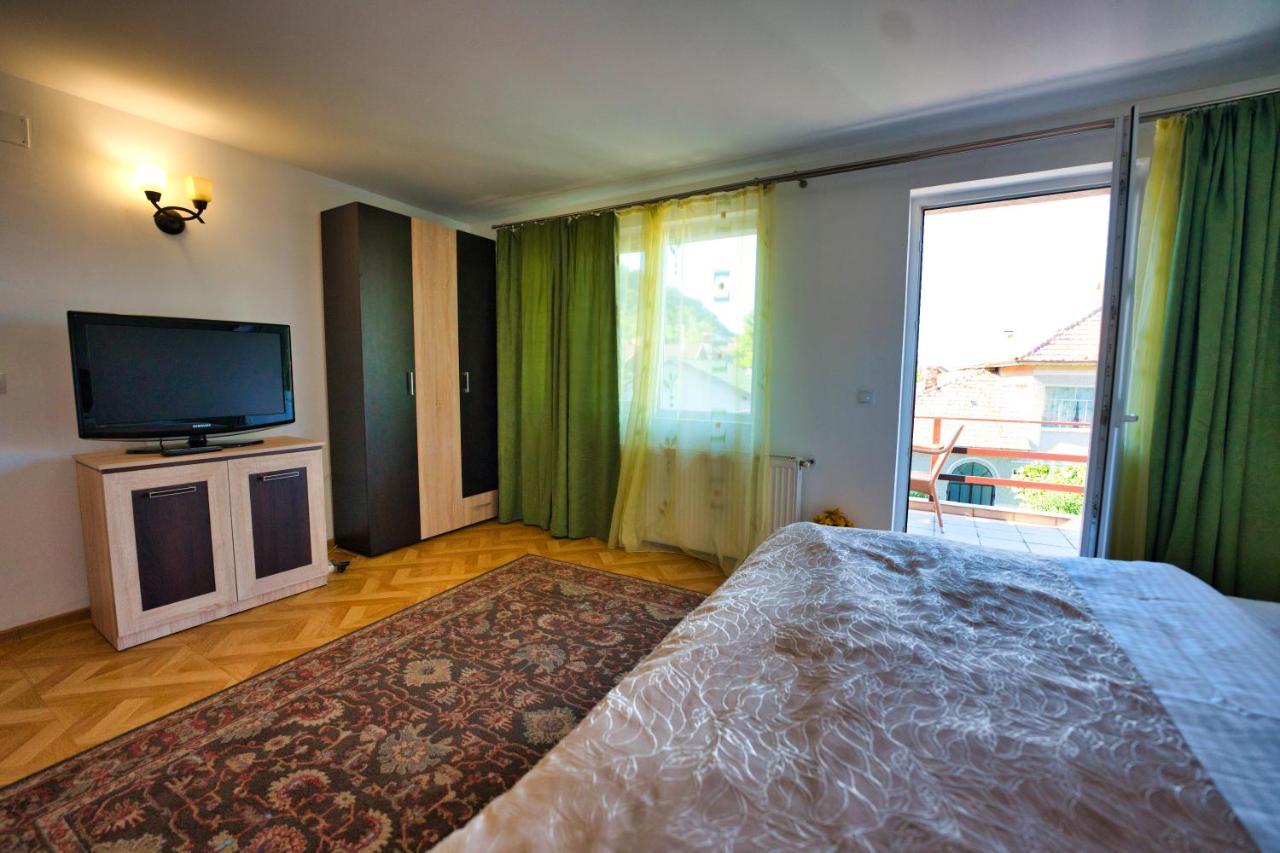 Vila Victoria Râmnicu Vâlcea المظهر الخارجي الصورة