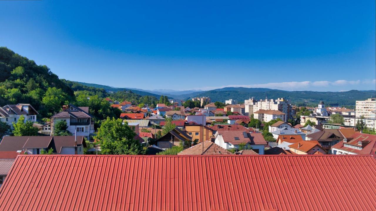 Vila Victoria Râmnicu Vâlcea المظهر الخارجي الصورة